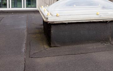 disadvantages of Baydon flat roofs